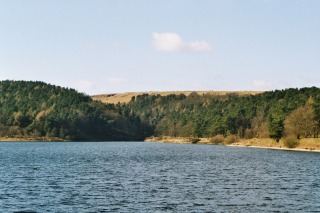 Ogden Water, 2006