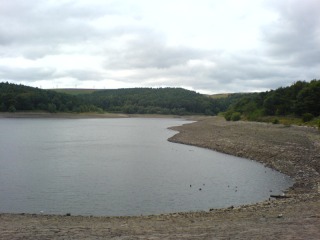 Ogden Water, 2006