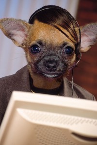 The new receptionist had a lovely manner with visitors