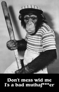 Bad monkey