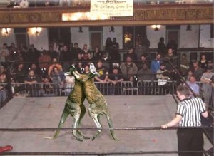 Kanga wrestling