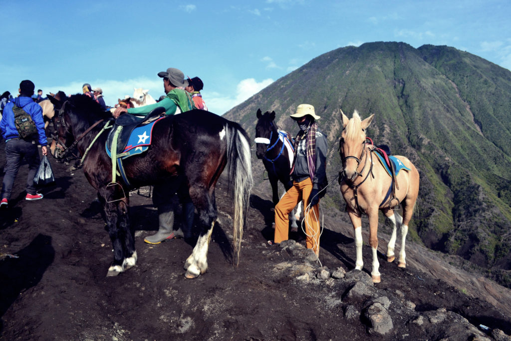 Riders and horses on a mountain